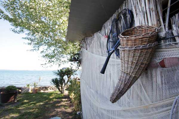 Home | A platform for sustainable products, info and people from the region Lago di Bolsena - Tuscia ...