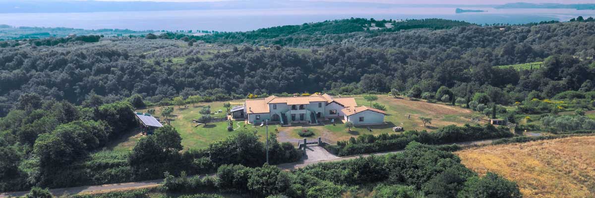 Pian del Grano | The property "Pian del Grano" is located in the middle of beautiful landscape high above Lake Bolsena. You can see soft hills, the beautiful lake and the picturesque little village Grotte di Castro, built on tuff.