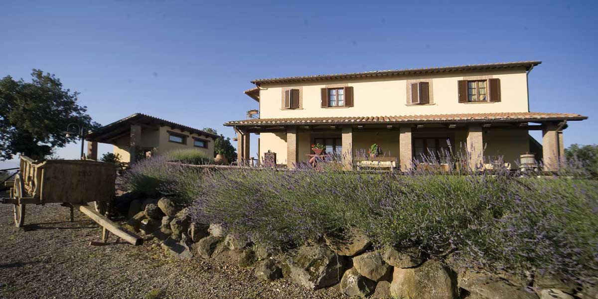 Poggio di MontedOro | In the middle of nature, on a hill in front of the town of Montefiascone, lies Poggio di Montedoro. The five farmhouses, lovingly restored in the local style, are surrounded by a natural garden.