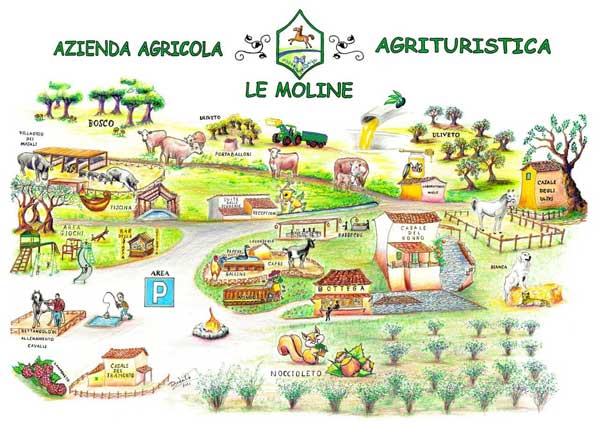Le Moline | In the heart of the quiet of the countryside, in a place that has always been pure and has never been farmed in any other way than organic, lies Le Moline estate. Just a short distance from many attractions such as thermal baths, lakes, the sea, archaeological sites and medieval towns.