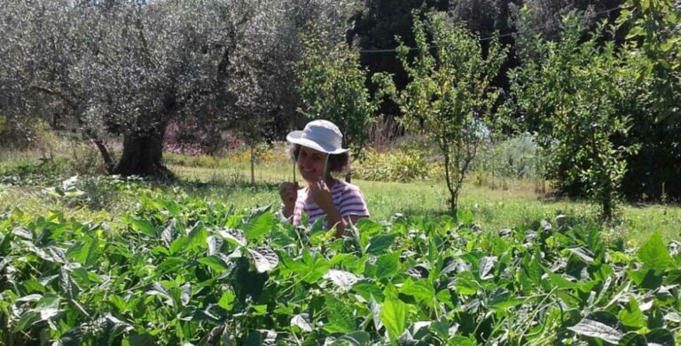 Home | Nachhaltige,italienische,Spezialitäten,BioDistretto orto delle fate 01 768x390