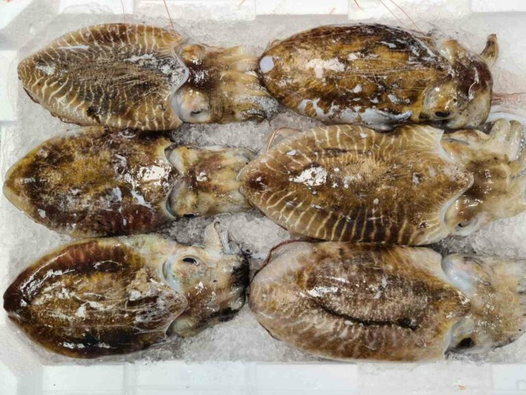 Fischgeschäft Dal Roscetto | pescheria dal roscetto 02 768x576